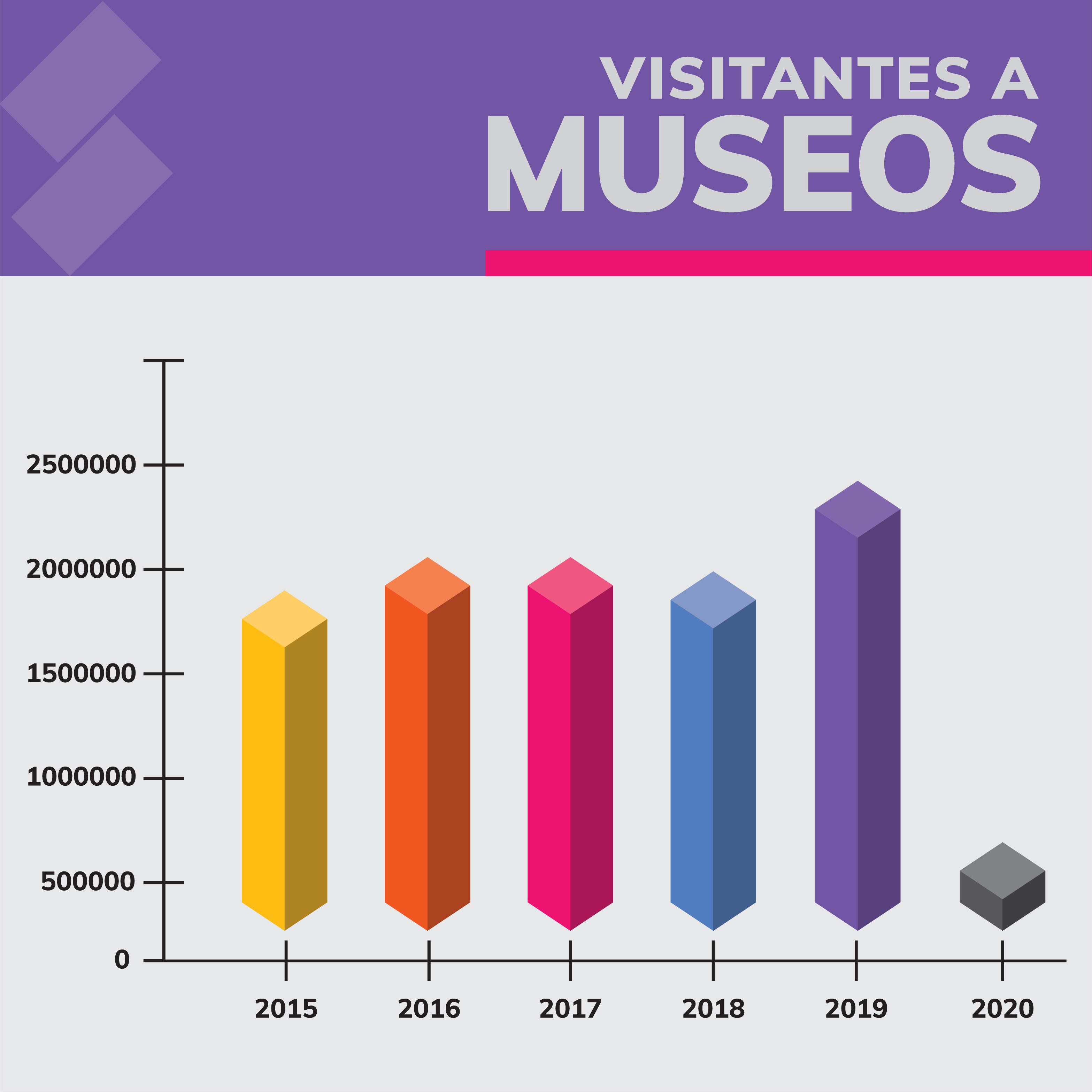 Visitante Museos